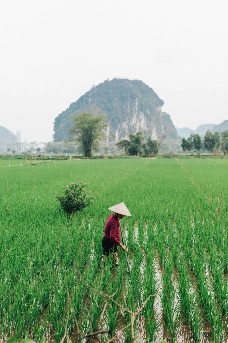 Hòa Bình, Việt Nam
