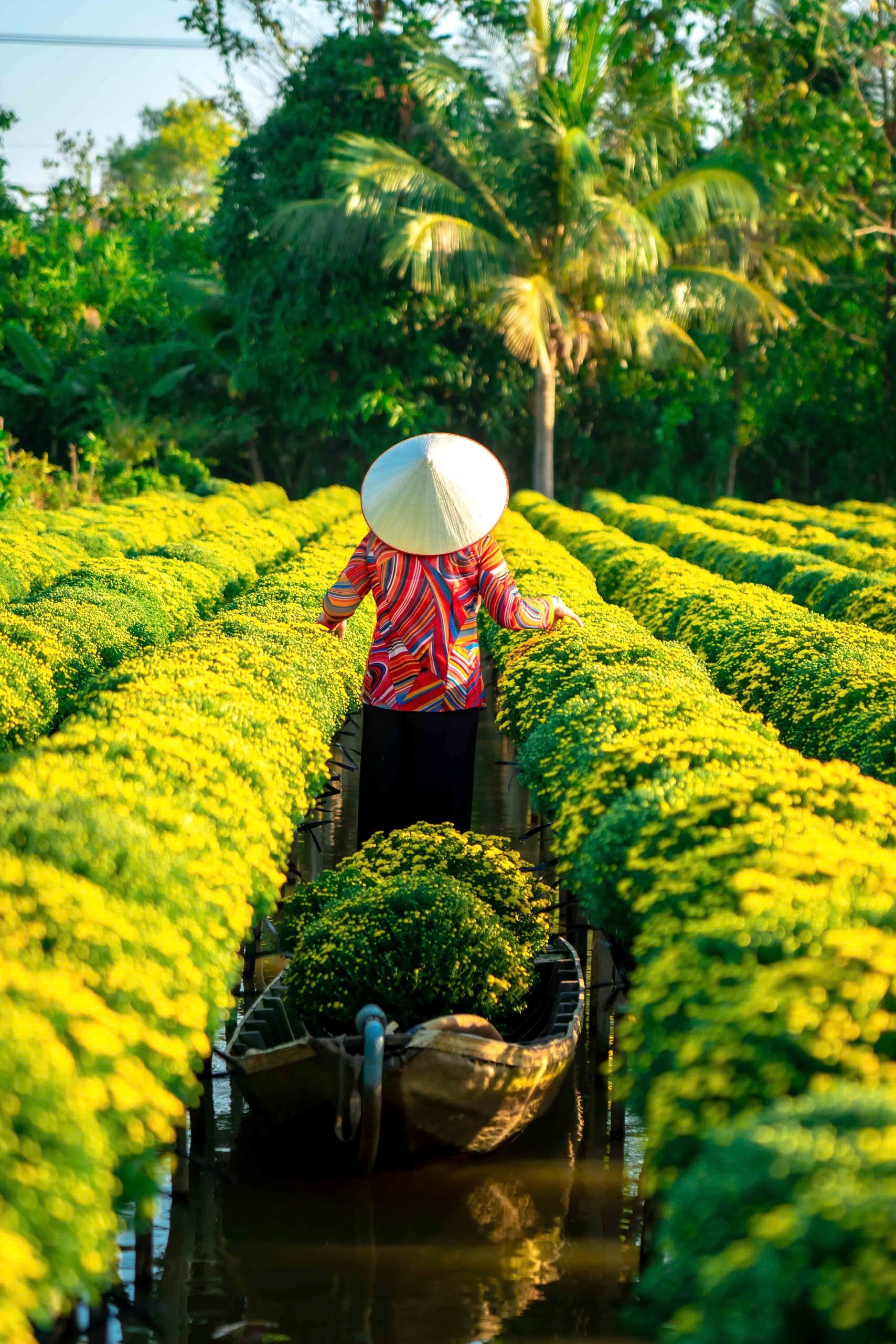 Khám Phá Làng Hoa Tết Độc Đáo Tại Miền Tây - Ảnh 13.