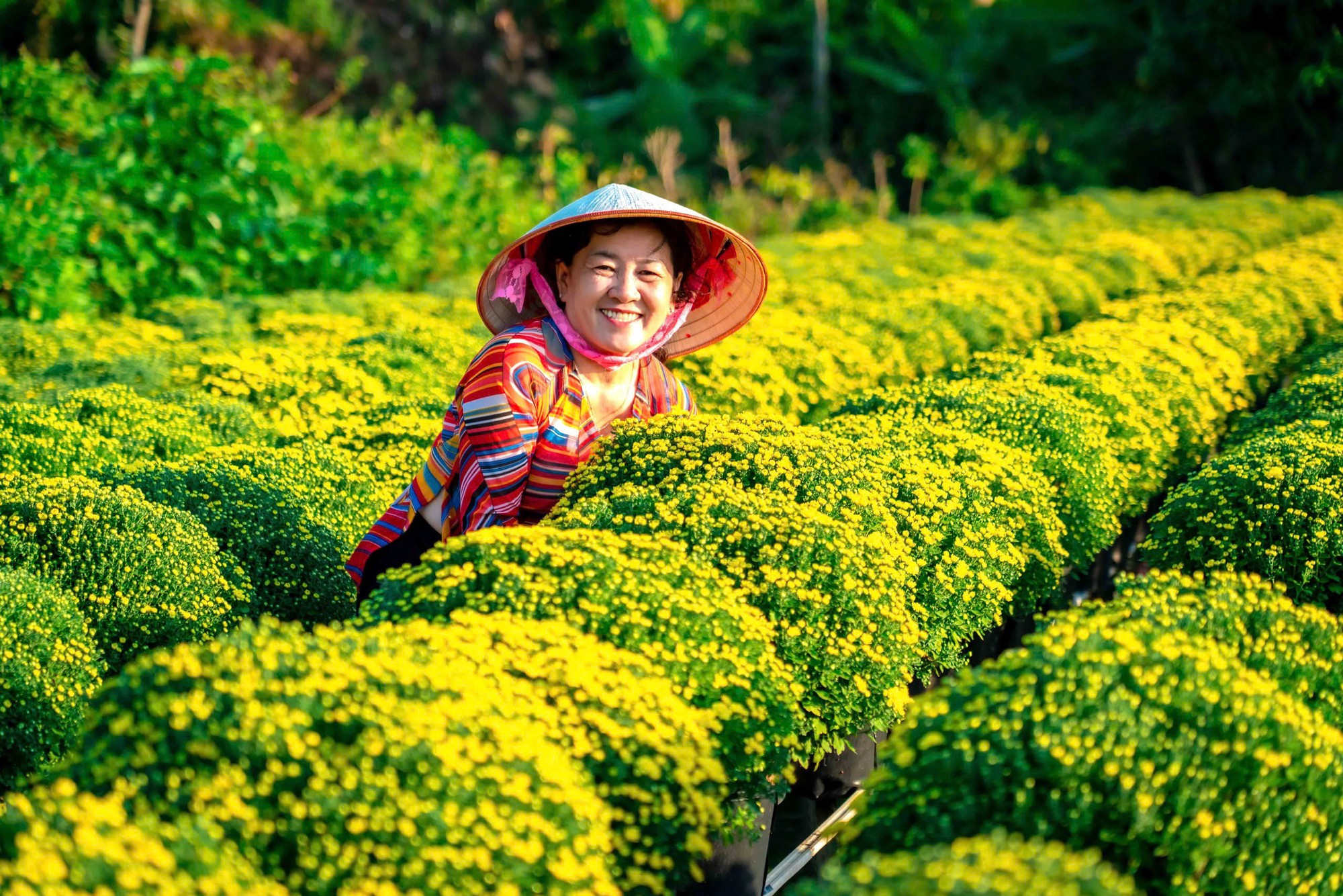 Khám Phá Làng Hoa Tết Độc Đáo Tại Miền Tây - Ảnh 9.
