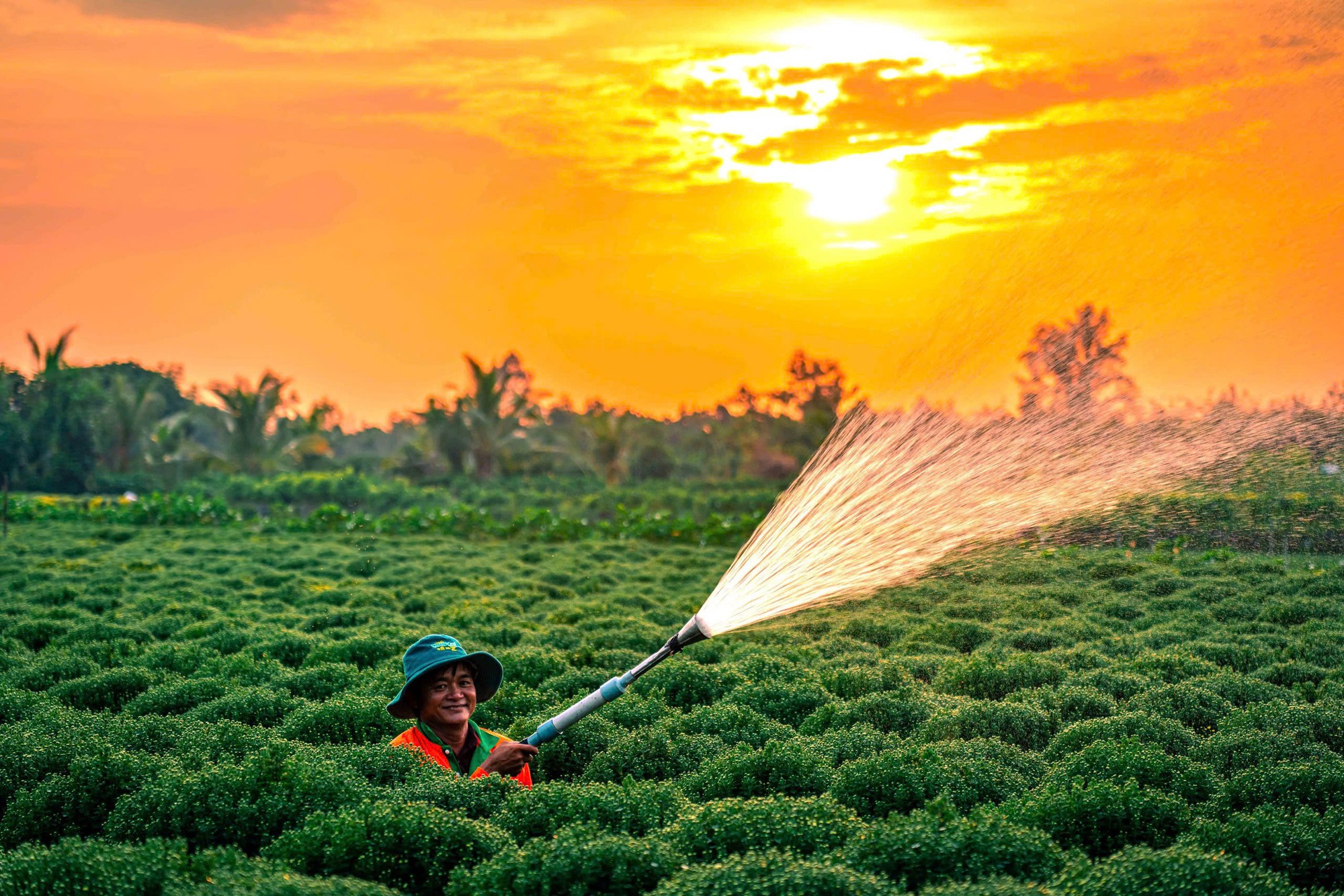 Khám Phá Làng Hoa Tết Độc Đáo Tại Miền Tây - Ảnh 5.