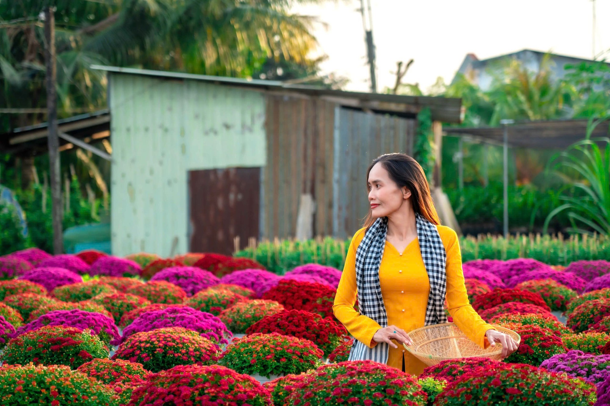 Khám Phá Làng Hoa Tết Độc Đáo Tại Miền Tây - Ảnh 18.