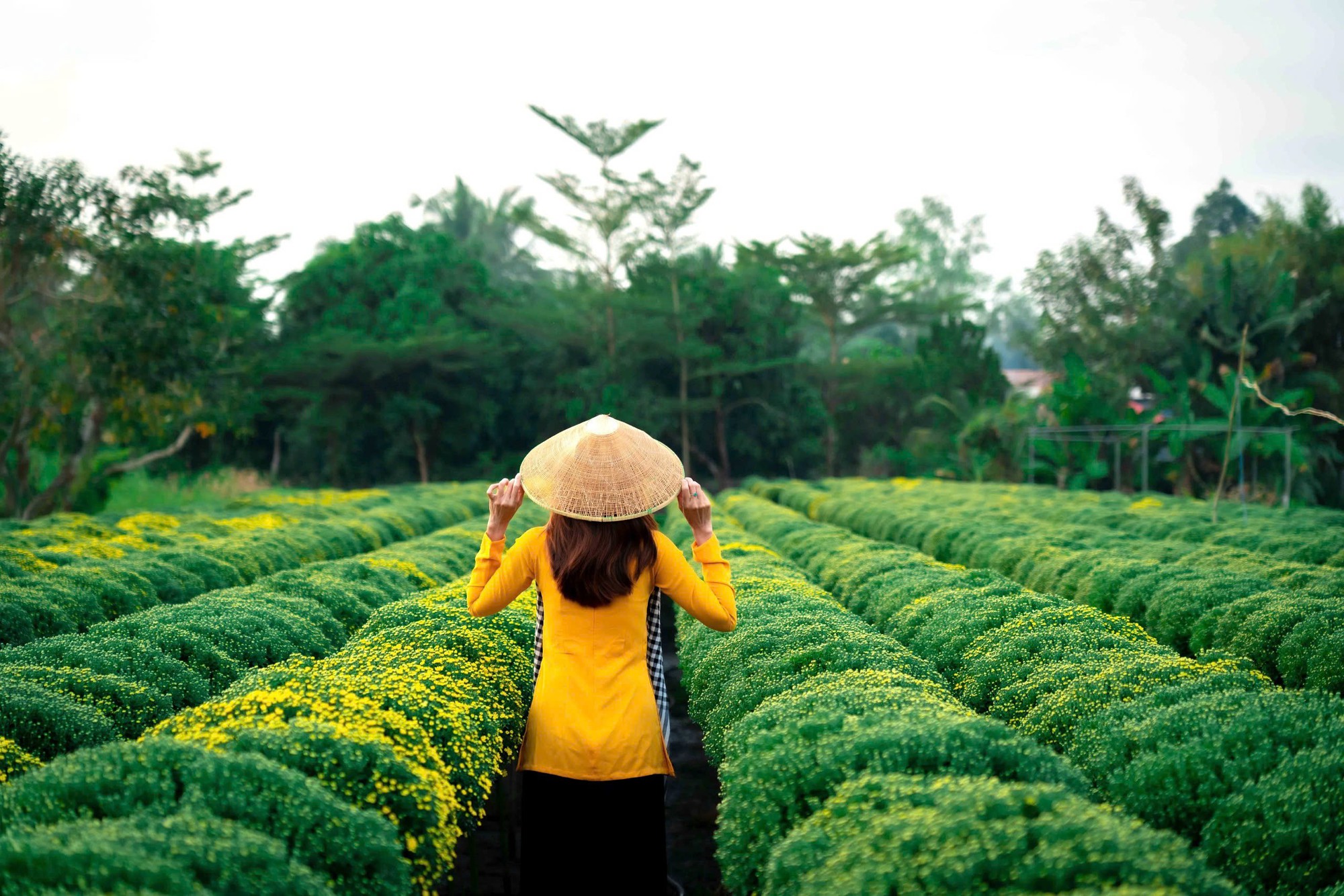 Khám Phá Làng Hoa Tết Độc Đáo Tại Miền Tây - Ảnh 17.