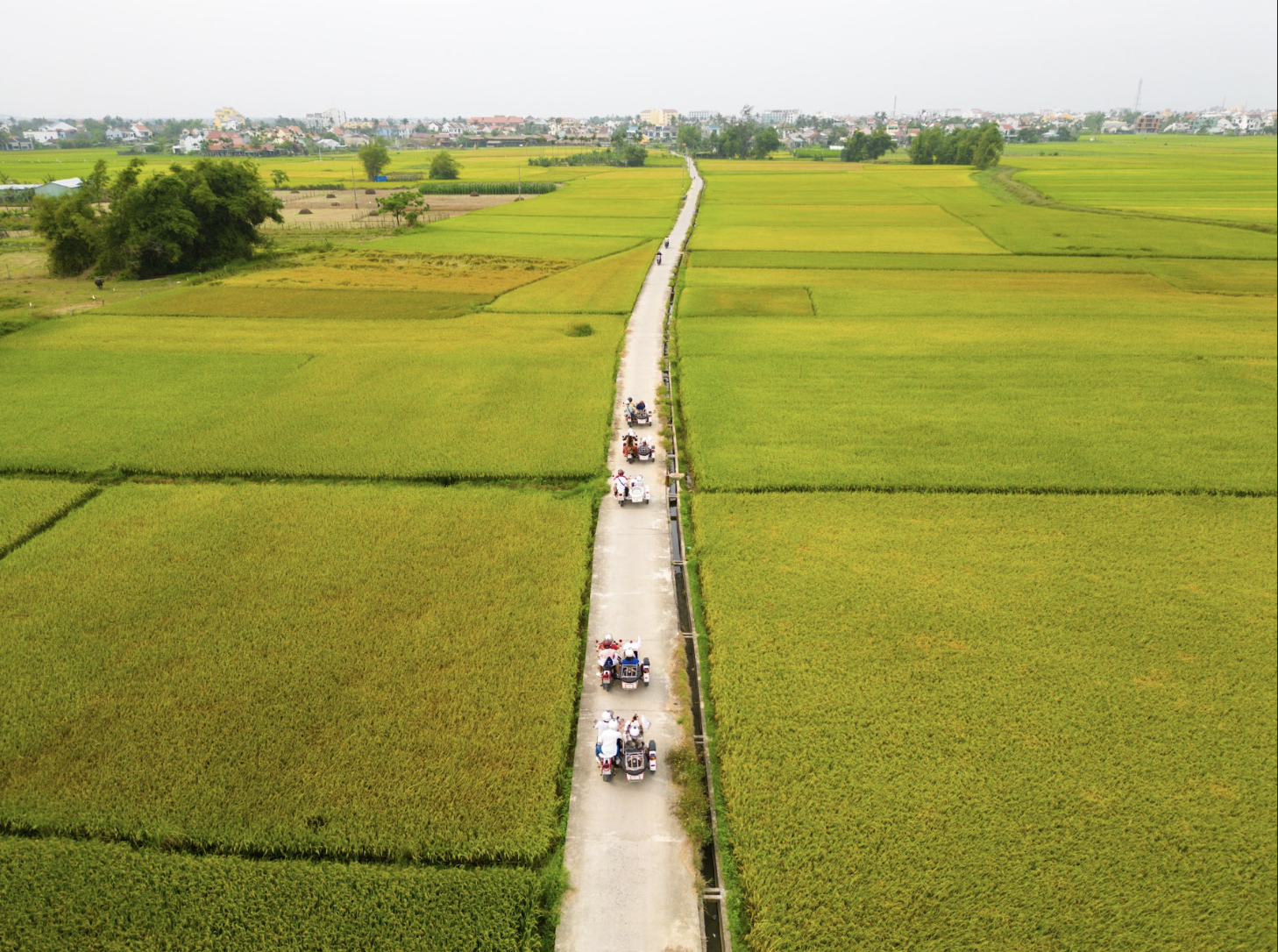 Khám phá làng quê bằng xe sidecar