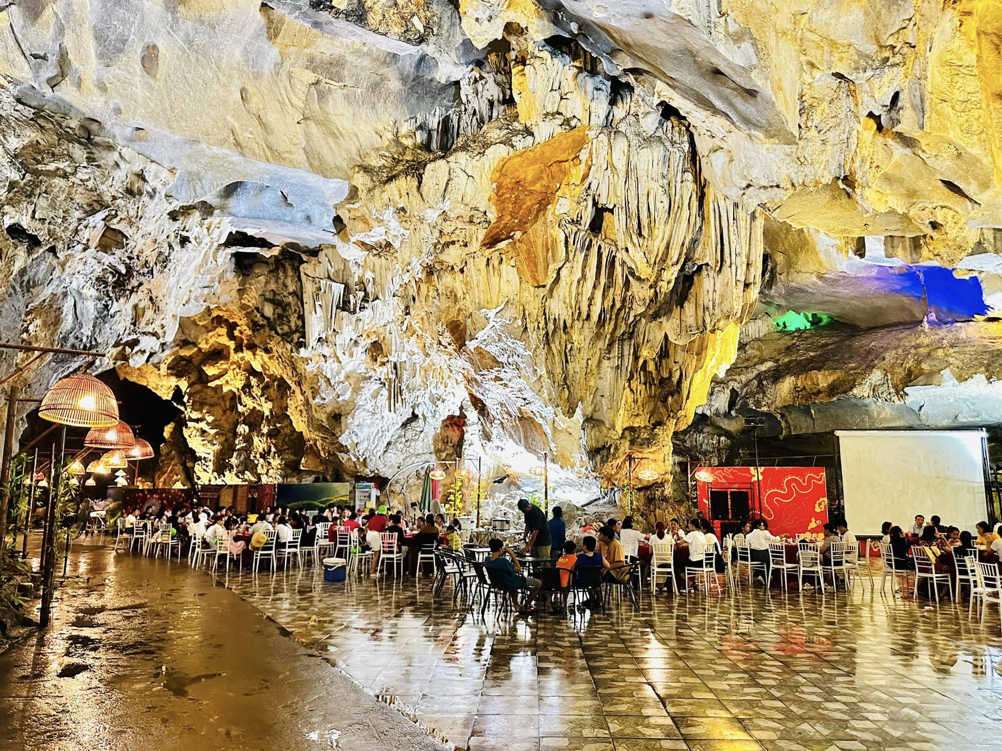 Sự kiện lớn trong hang Dơi