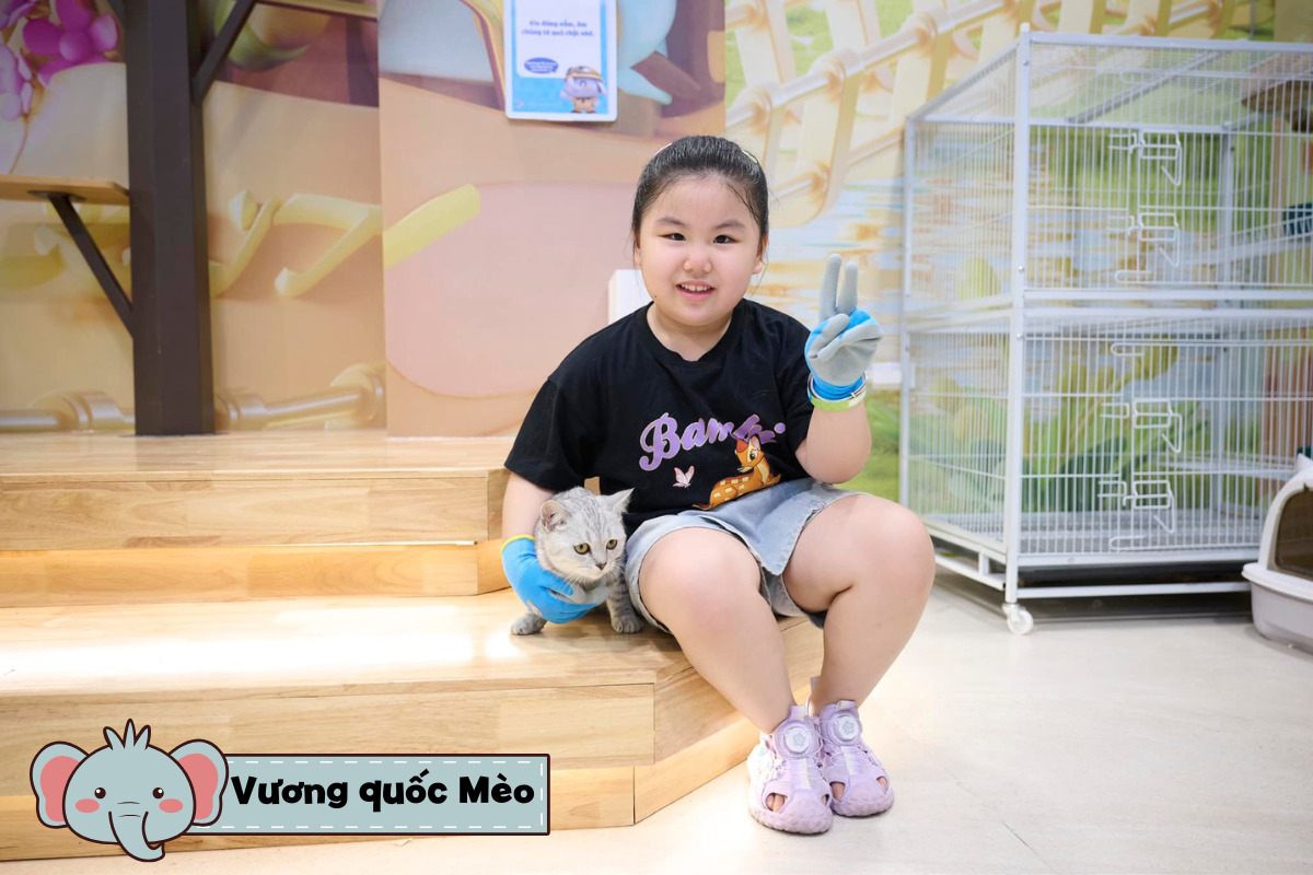 Vườn thú chú voi con - vương quốc mèo