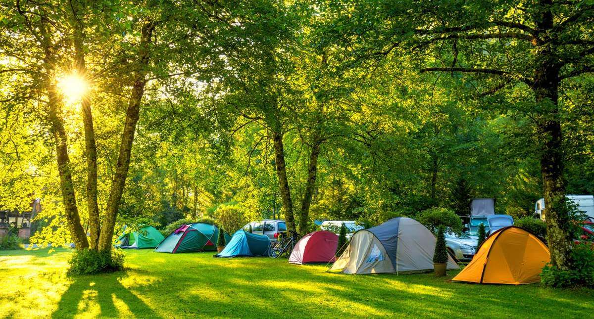 Khám Phá Khu Du Lịch Suối Mơ (Check in đẹp) | Noibaitaxitour.com