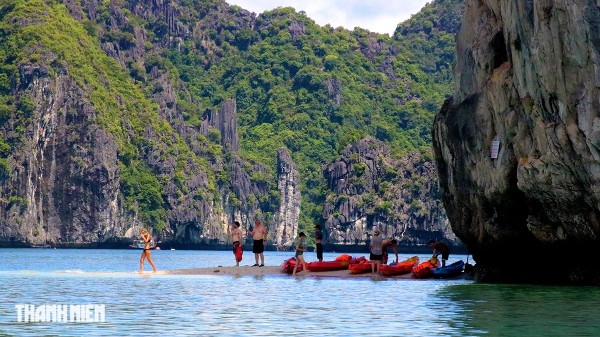 Cát Bà - Di sản thế giới