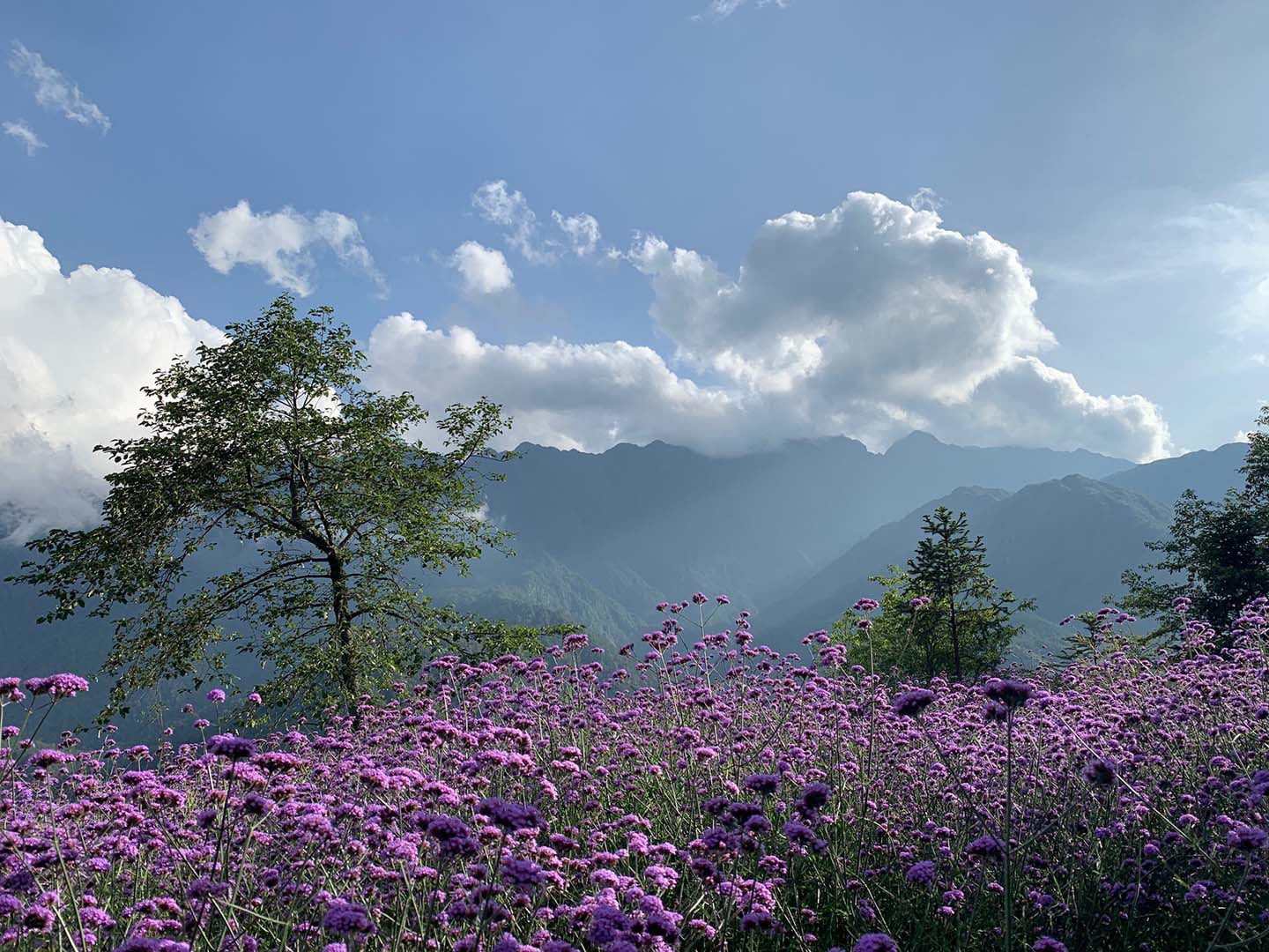 Sapa mùa mưa