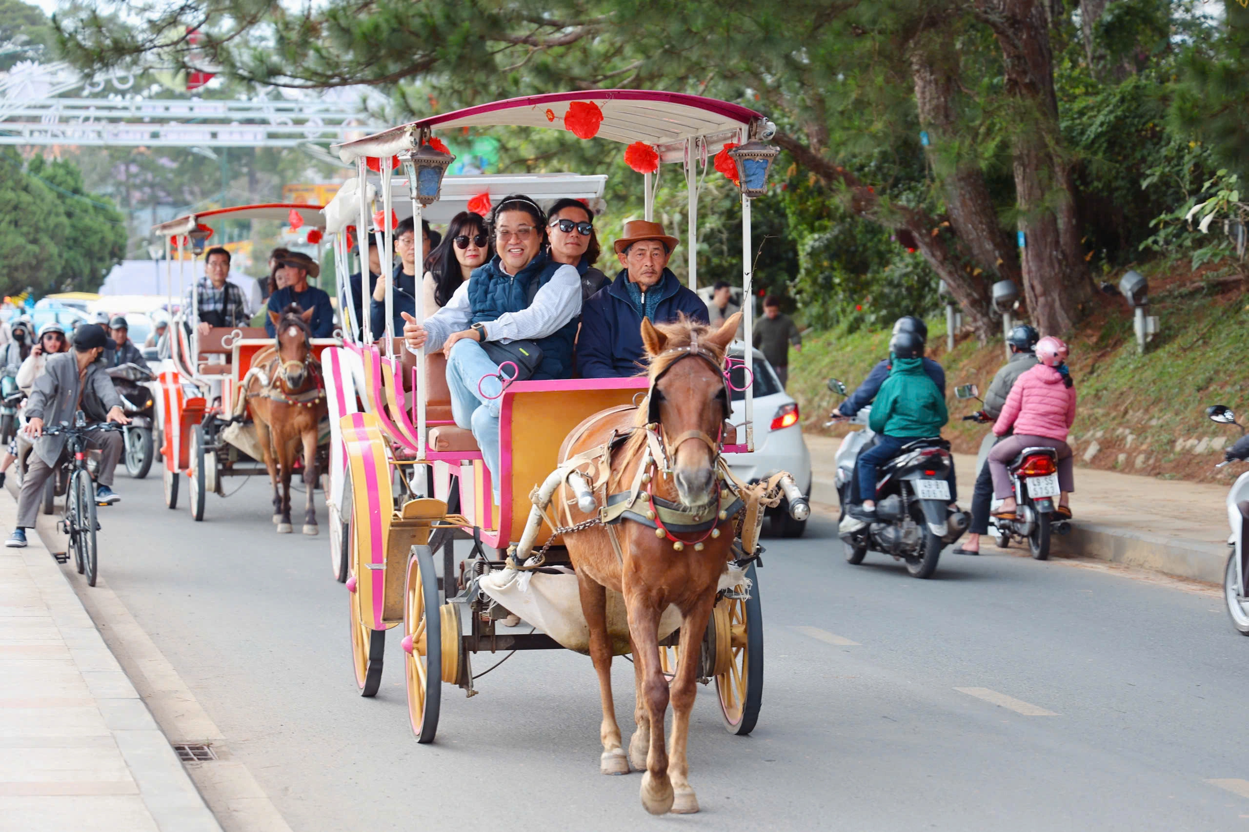 Đà Lạt chính thức cấm xe ngựa chở khách quanh hồ Xuân Hương - Ảnh 1.