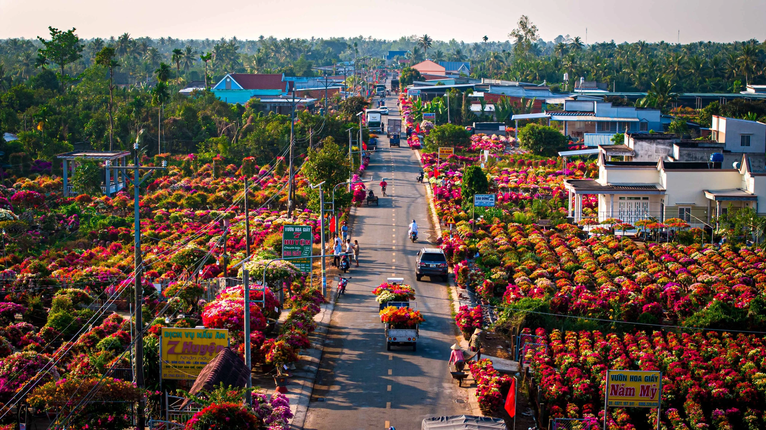 Khám Phá Làng Hoa Giấy Đẹp Nhất Miền Tây Dịp Tết - Ảnh 5.