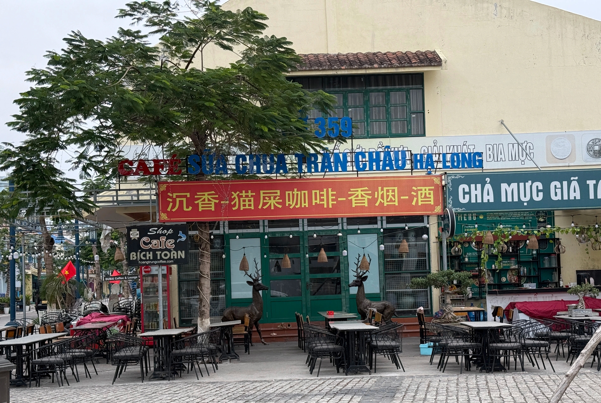 Khó khăn tìm kiếm nhà hàng ở Hạ Long trong dịp Tết Nguyên Đán - Ảnh 4.