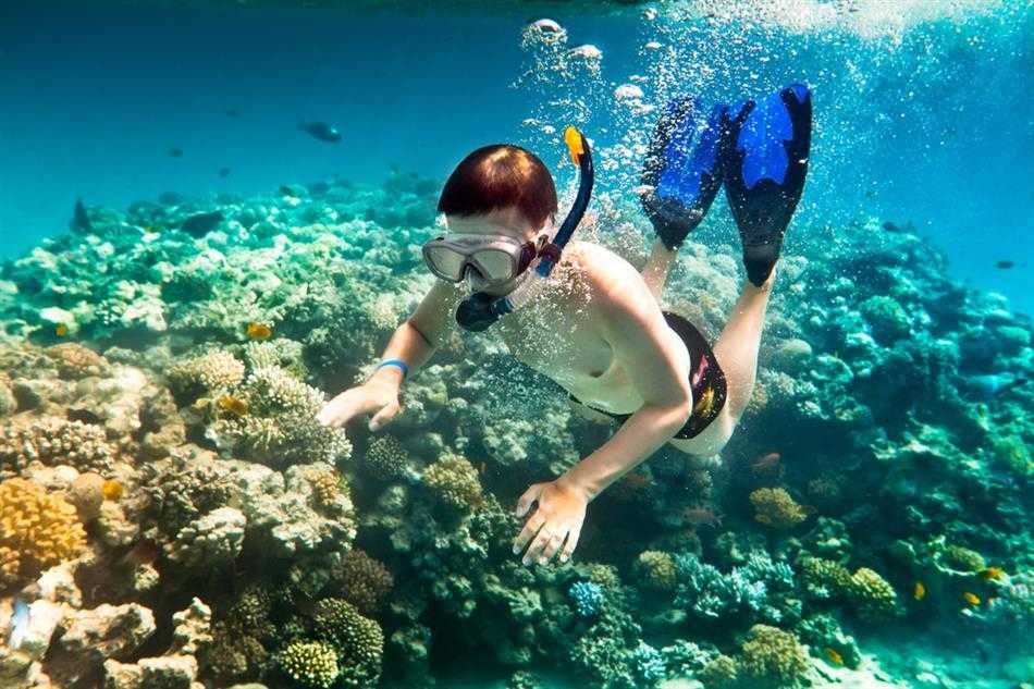 Hòn Bảy Cạnh Côn Đảo: Đi để chơi, để khám phá thiên nhiên đại dương