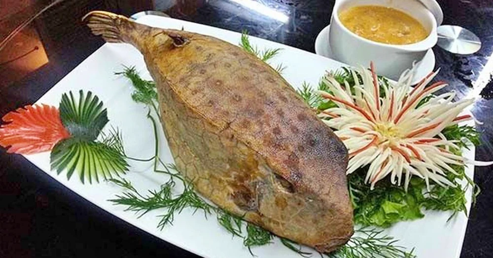 món ngon phú yên