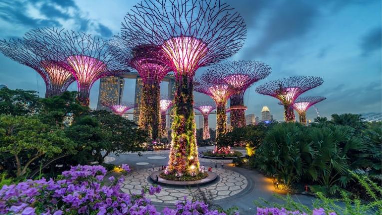 Những trải nghiệm ‘về đêm’ không thể bỏ lỡ tại Singapore- Ảnh 5.