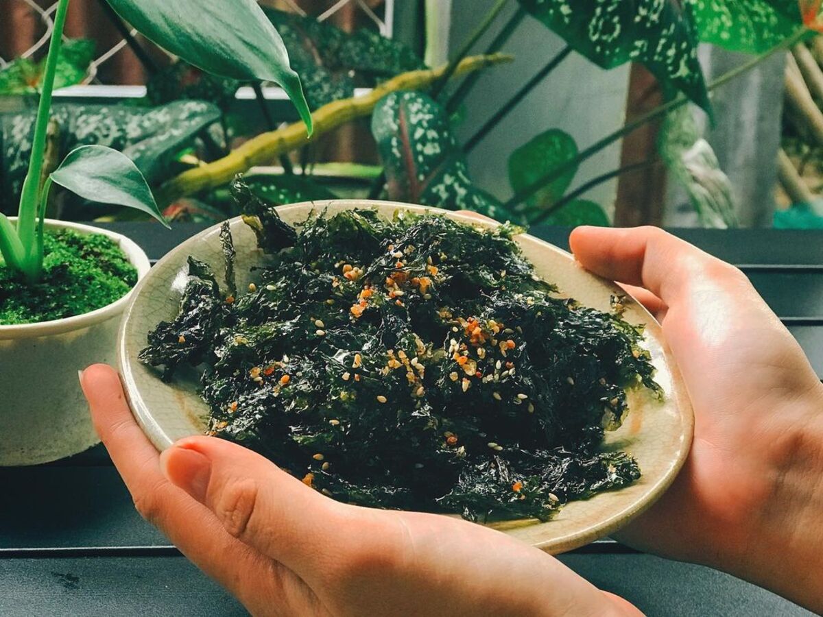 Rong biển Mỹ Khê