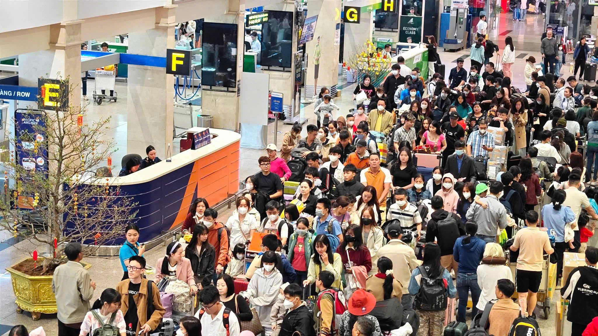 Sân bay Tân Sơn Nhất đông đúc từ nửa đêm đến sáng sớm, hành khách xếp hàng dài - Ảnh 2.