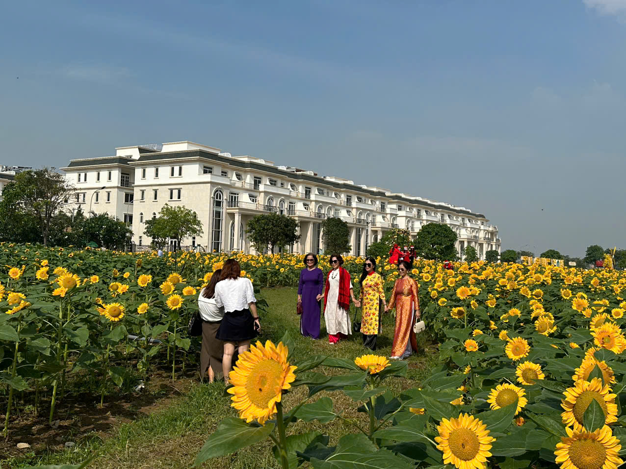 Lễ hội hoa hướng dương tại TP.HCM - Ảnh 1.