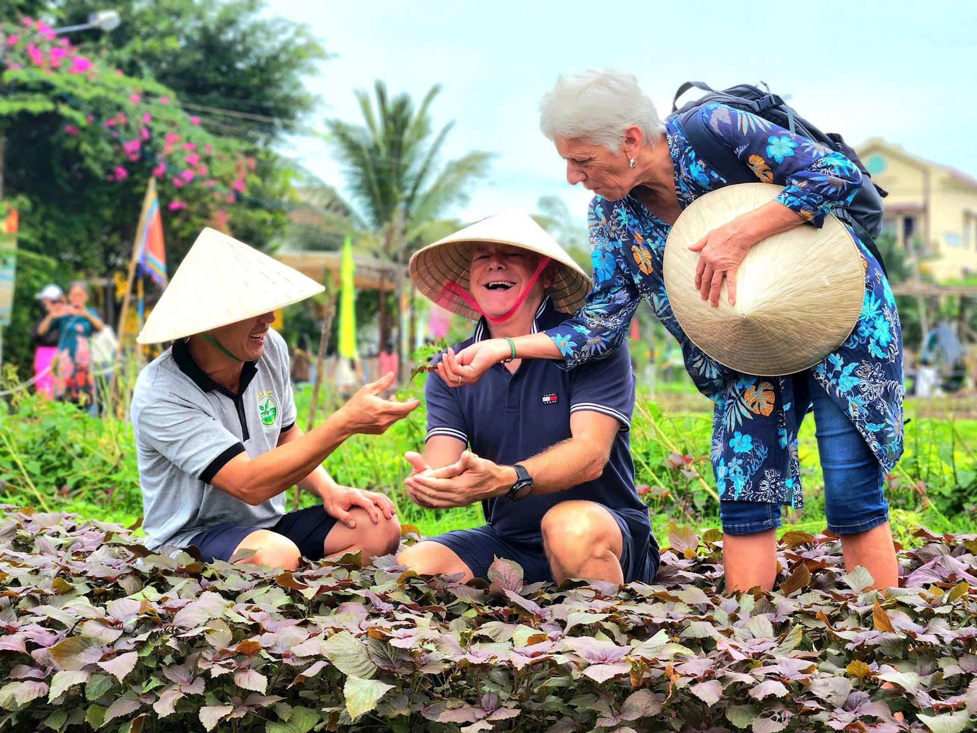 Thúc đẩy phát triển du lịch nông thôn- Ảnh 1.
