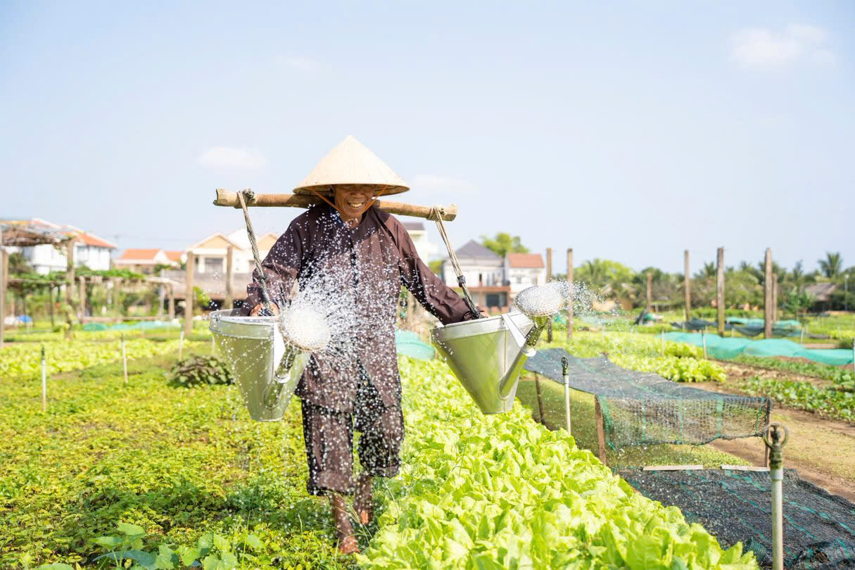 Du lịch nông thôn tại Việt Nam