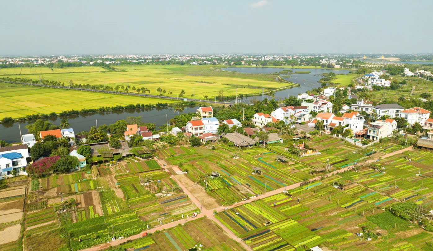 Làng rau Trà Quế